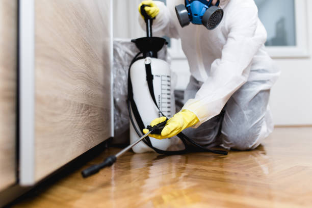 Best Affordable Pest Control Services  in Frederick, CO