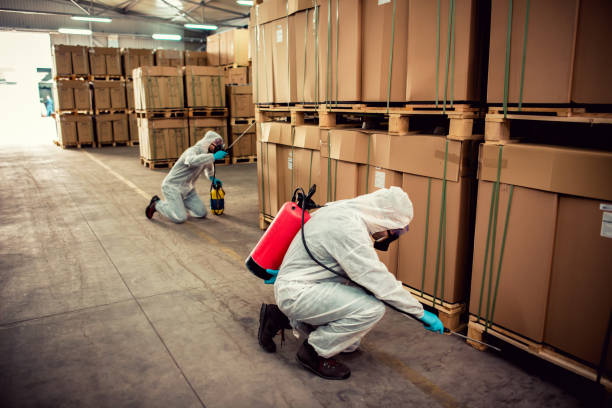 Professional Pest Control in Frederick, CO
