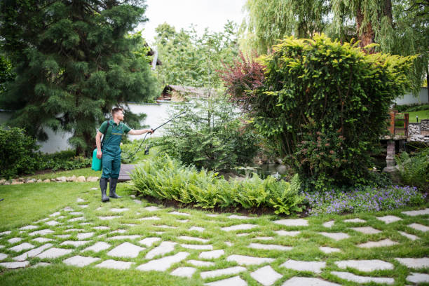Flea Control Services in Frederick, CO