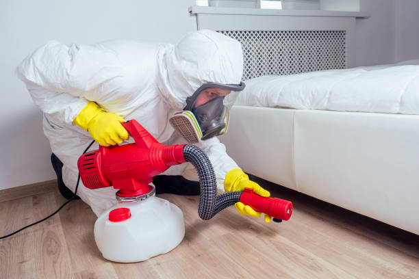 Best Local Pest Control Services  in Frederick, CO