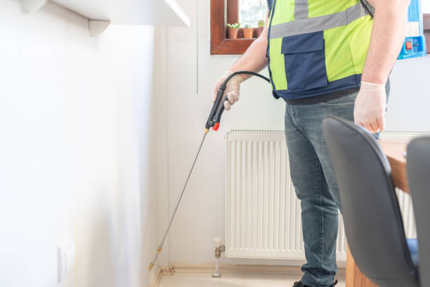Best Termite Control Services  in Frederick, CO