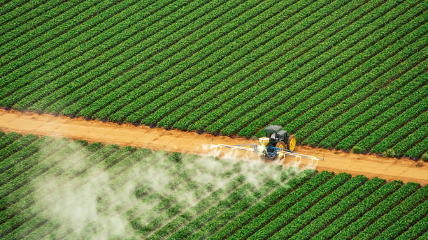Best Commercial Pest Control Services  in Frederick, CO
