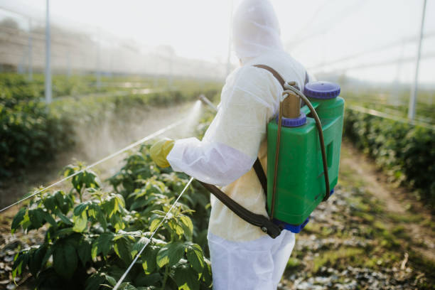 Best Wildlife Control Services  in Frederick, CO